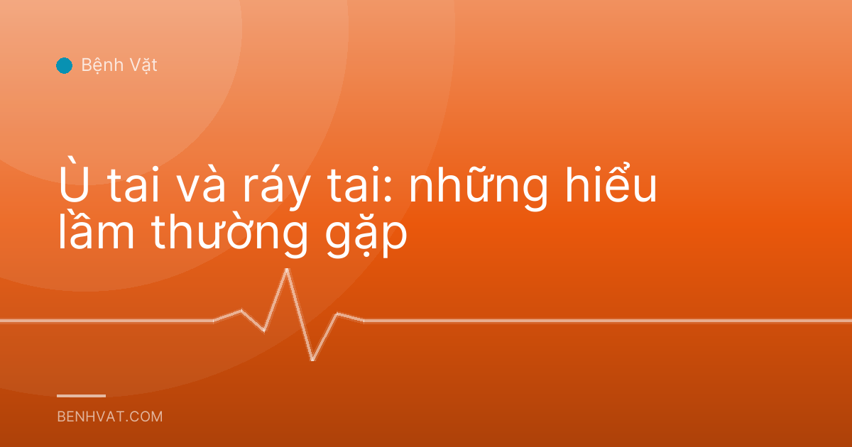 Ù tai và ráy tai: những hiểu lầm thường gặp
