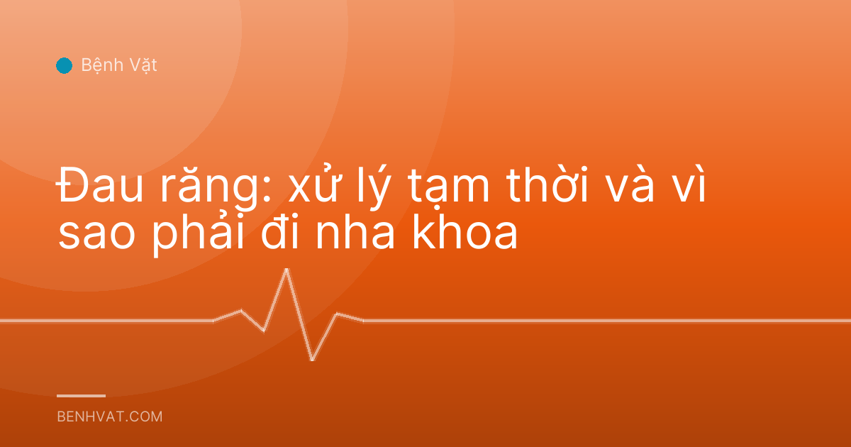 Đau răng: xử lý tạm thời và vì sao phải đi nha khoa