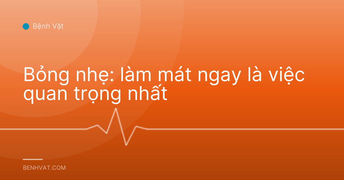Bỏng nhẹ: làm mát ngay là việc quan trọng nhất