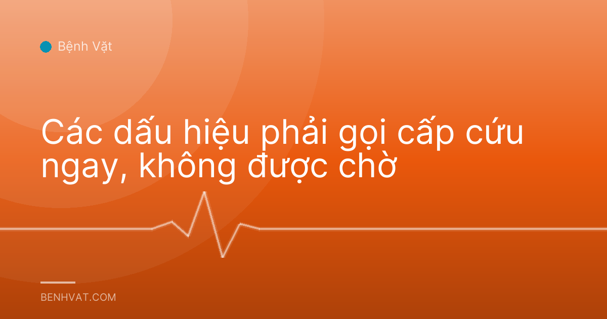 Các dấu hiệu phải gọi cấp cứu ngay, không được chờ