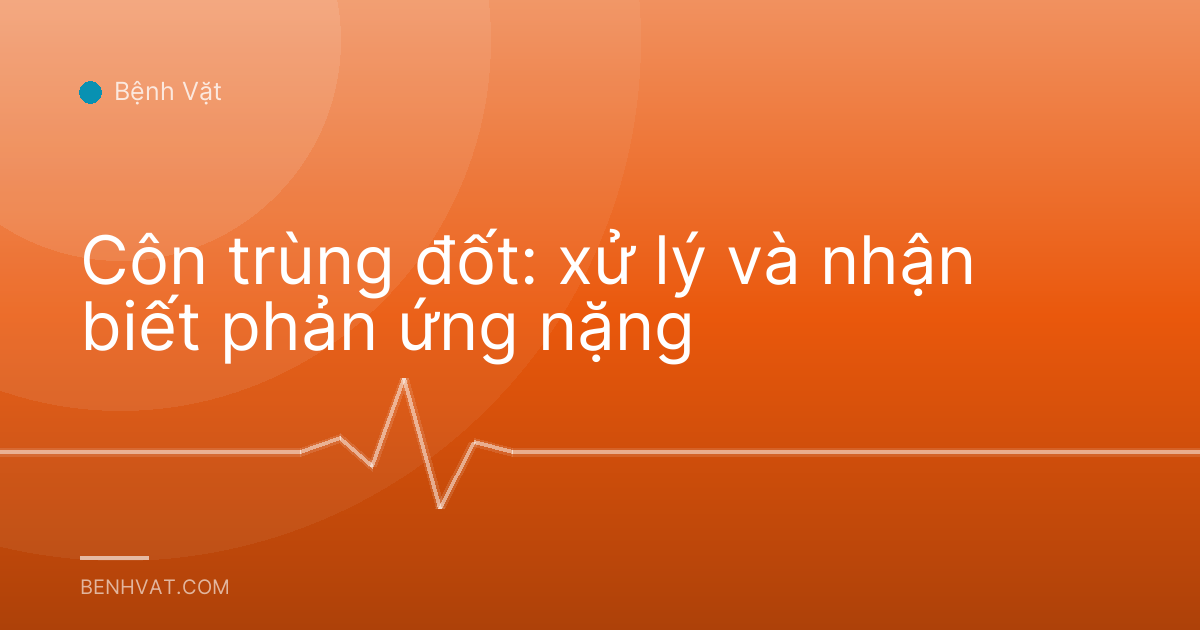 Côn trùng đốt: xử lý và nhận biết phản ứng nặng