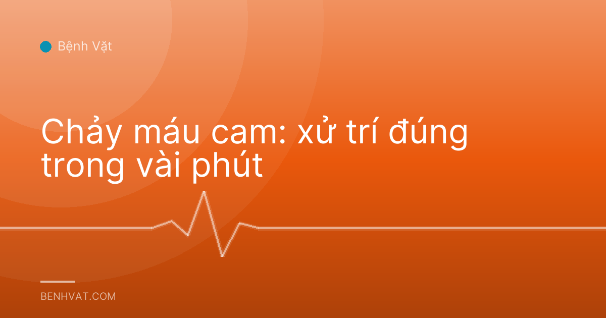 Chảy máu cam: xử trí đúng trong vài phút