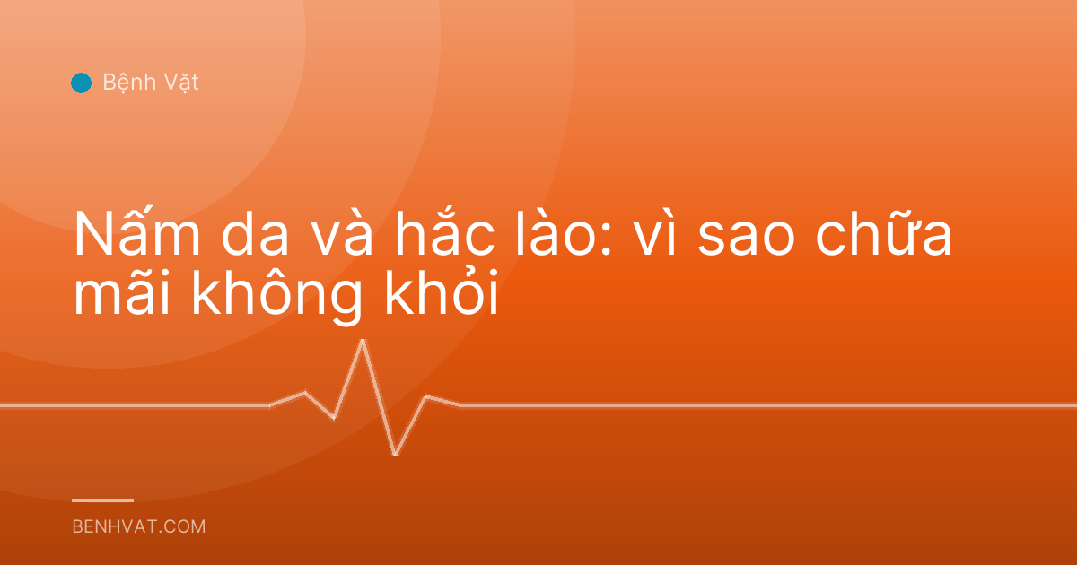 Nấm da và hắc lào: vì sao chữa mãi không khỏi
