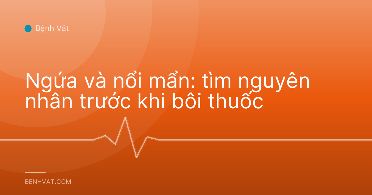Ngứa và nổi mẩn: tìm nguyên nhân trước khi bôi thuốc