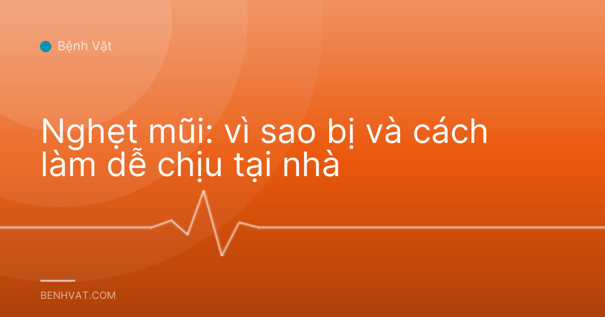 Nghẹt mũi: vì sao bị và cách làm dễ chịu tại nhà