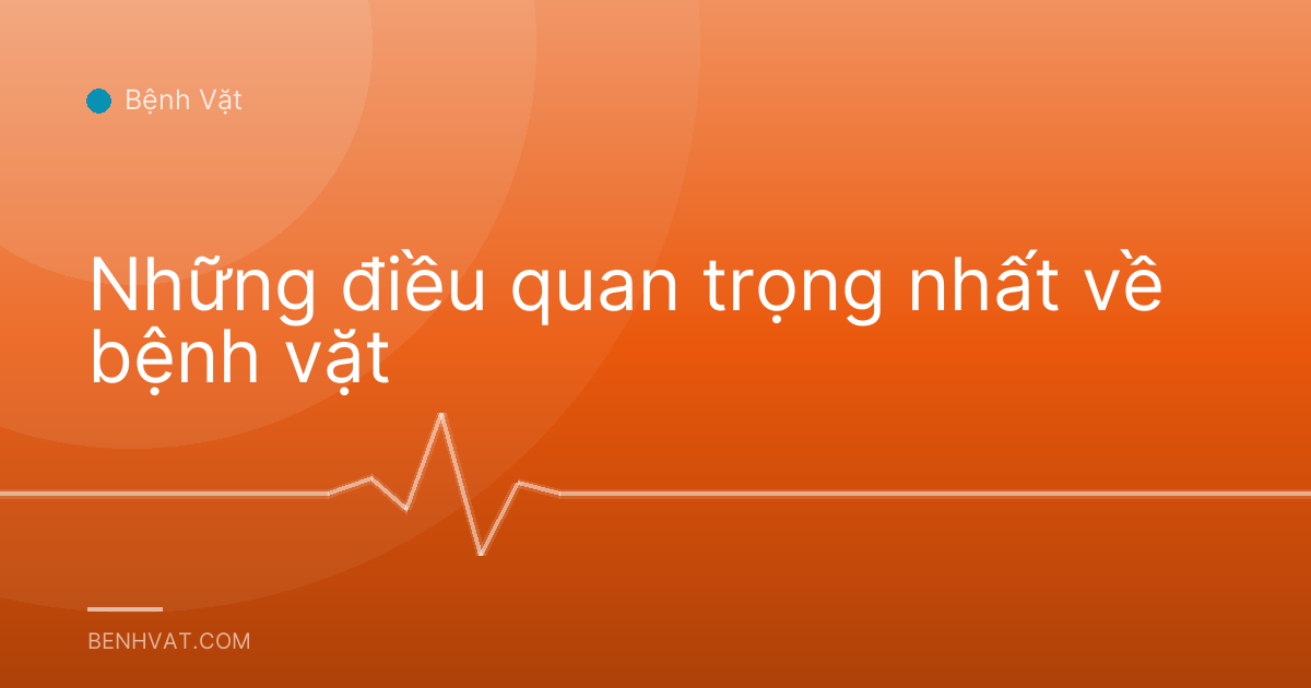 Những điều quan trọng nhất về bệnh vặt