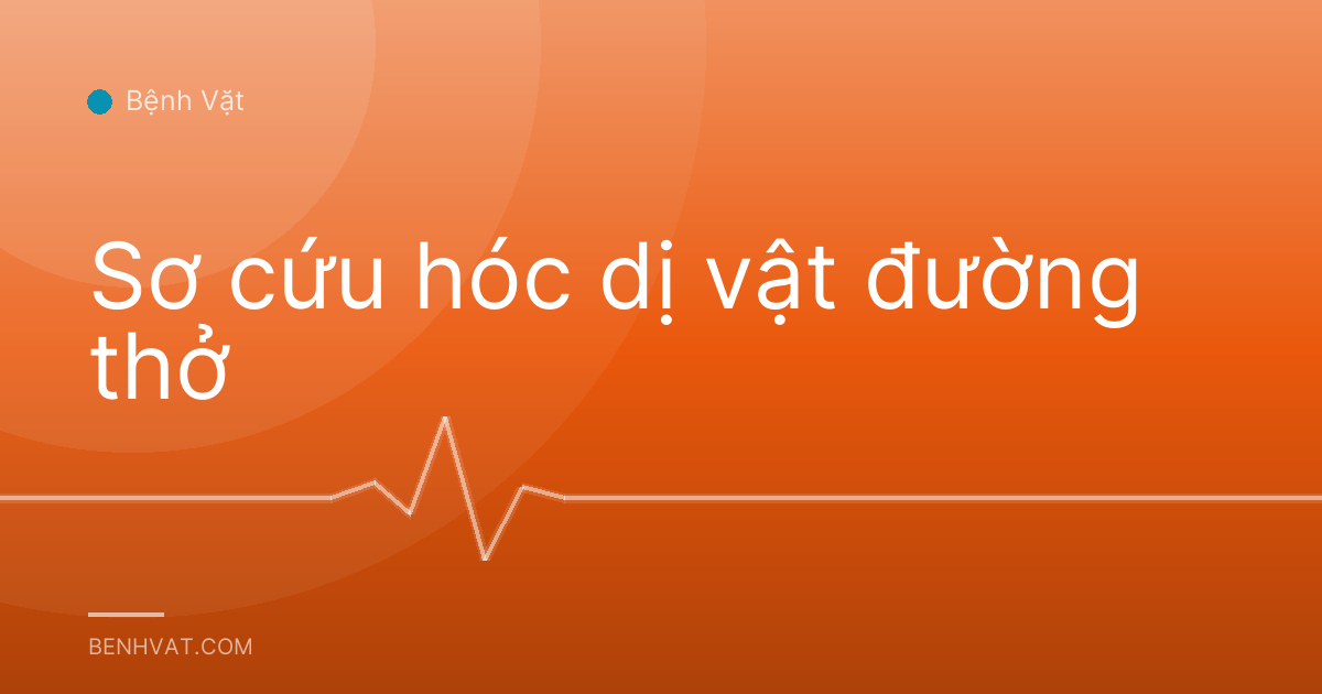 Sơ cứu hóc dị vật đường thở