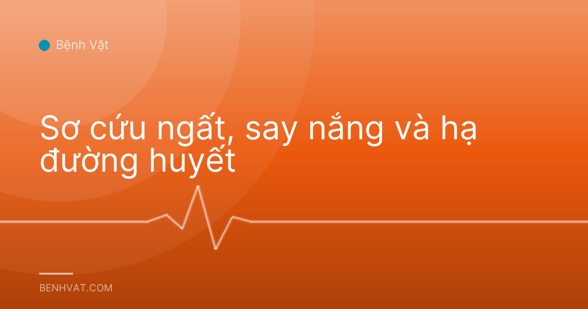 Sơ cứu ngất, say nắng và hạ đường huyết