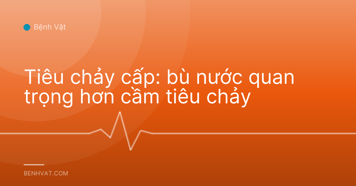 Tiêu chảy cấp: bù nước quan trọng hơn cầm tiêu chảy